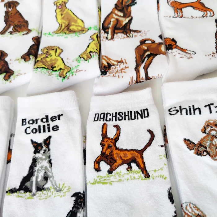 Socks that Showcase Dog
