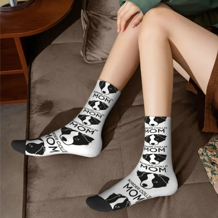 Border Collie Big Head Dog Socks - Windproof Novelty Stockings for Men and Women, Perfect for All Seasons