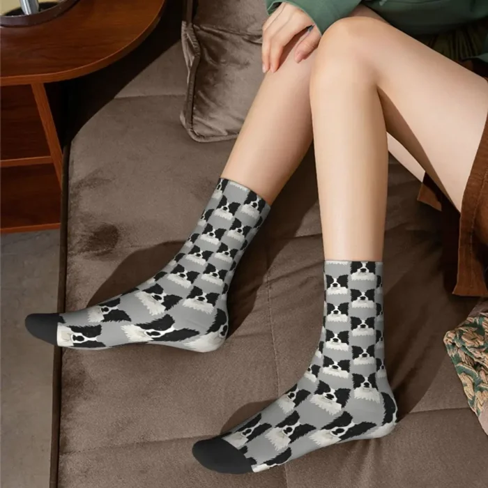 Border Collie Poker Face Dog Socks - Novelty Cycling Stockings for Men and Women, Ideal for All Seasons