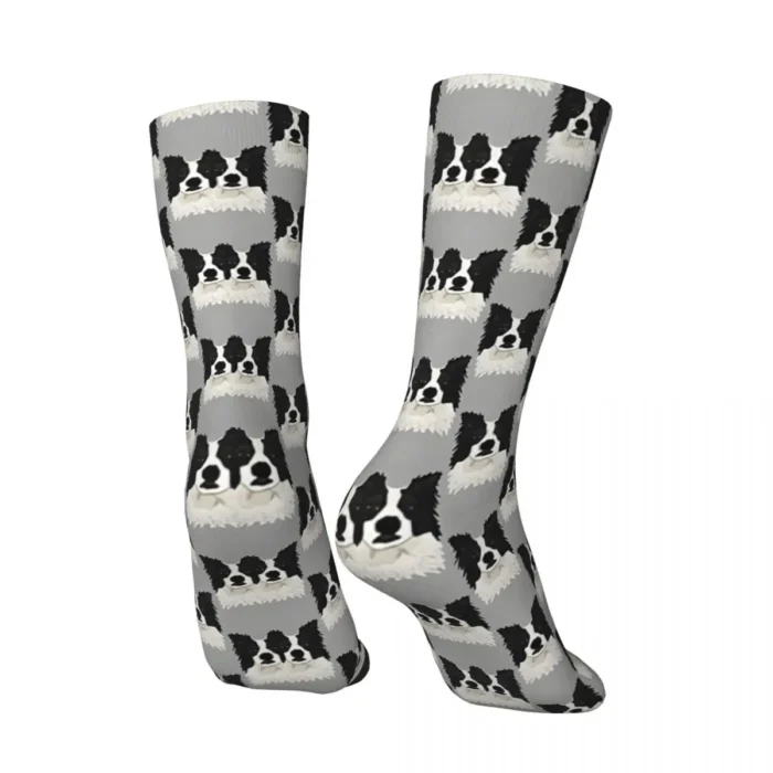 Border Collie Poker Face Dog Socks - Novelty Cycling Stockings for Men and Women, Ideal for All Seasons