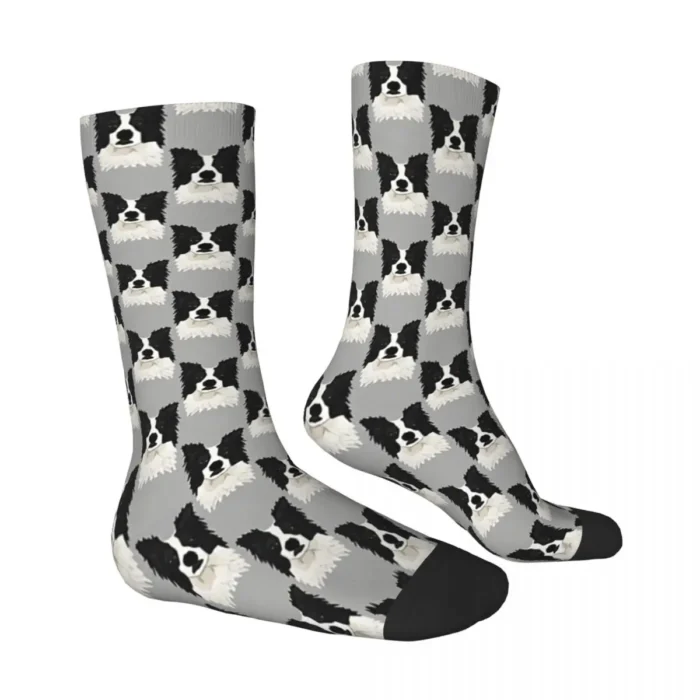 Border Collie Poker Face Dog Socks - Novelty Cycling Stockings for Men and Women, Ideal for All Seasons