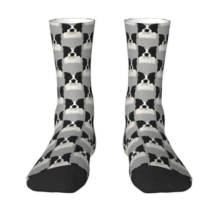 Border Collie Poker Face Dog Socks - Novelty Cycling Stockings for Men and Women, Ideal for All Seasons