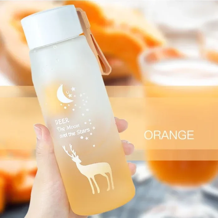 DaisyFresh Portable Water Bottle – BPA-Free, Travel-Ready - Orange