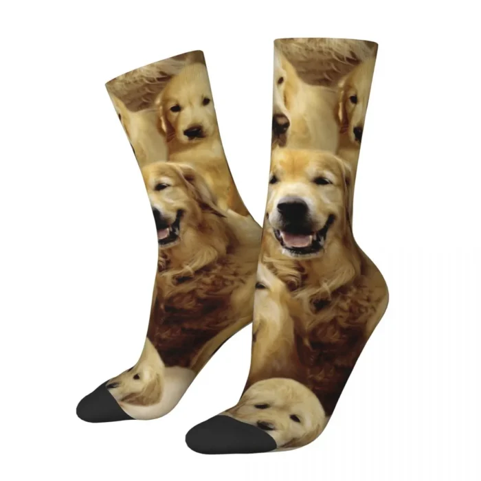 Harajuku Golden Retrievers Cute Dog Socks - Happy Funny Unisex Polyester Socks for All Seasons