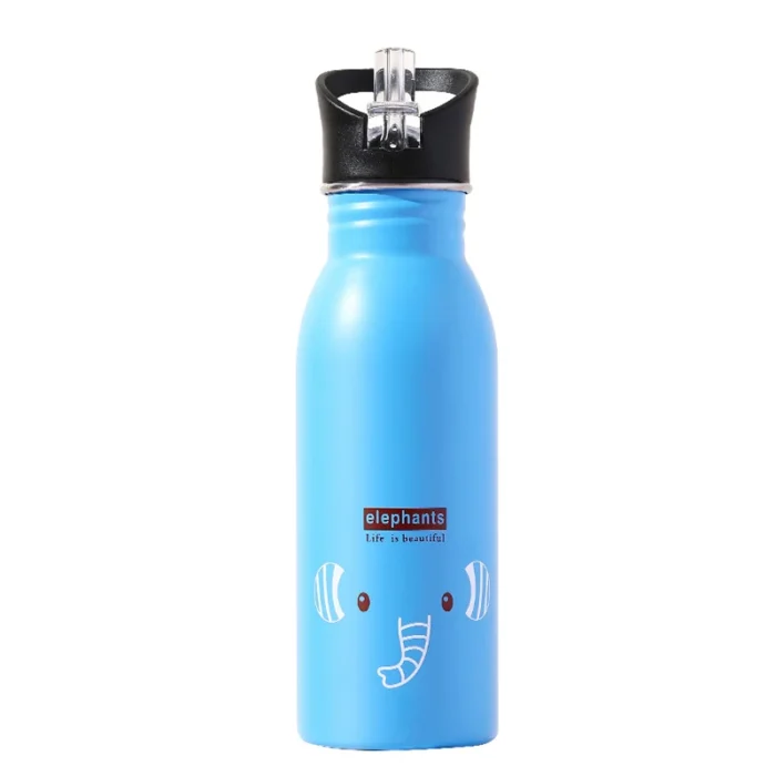 Stainless Steel Portable Water Bottle - Perfect for Kids' Sports & Camping